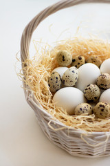fresh eggs in a basket