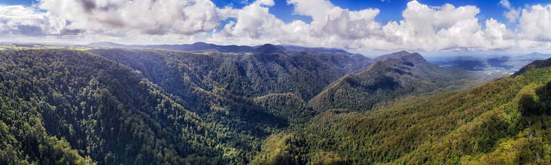 D DNP Valley Green Pan