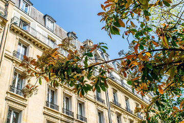 Spring in Paris © Michael