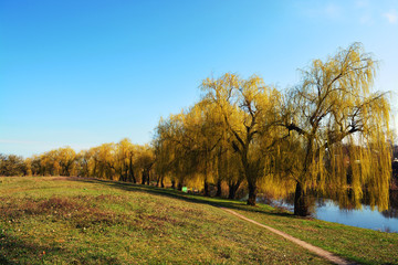 Naklejka premium path near the river