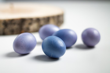 painted purple eggs on a tree on a light Easter background
