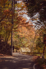 Fototapeta premium Country Roads, Nikko Japan