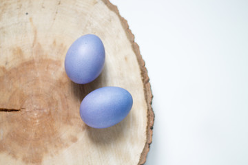 painted purple eggs on a tree on a light Easter background