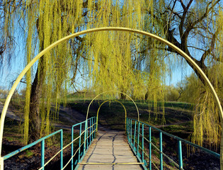 wooden bridge with green trees