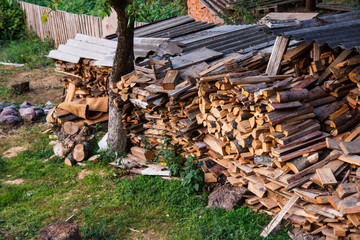 firewood stacked in the village