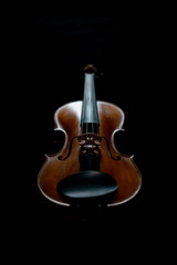 Fototapeta premium Violine