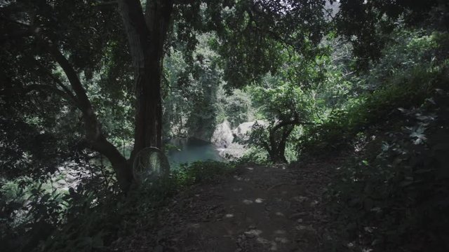 SLOW MOTION: pushing through trails and trees to reveal the almost magical space known as Mango Waterfall in Adjuntas, Puerto Rico.