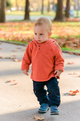 Cute 2 year old boy walking outdoors at autumn day