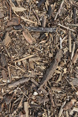 Wooden pieces texture and background