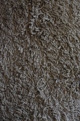 Persian carpet texture 