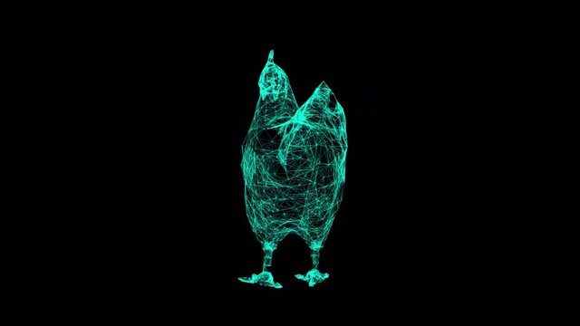 3d rendering chicken wireframe high poly mesh