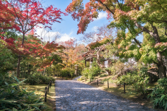 A stone paved alee at Koko-en Garden in Himeji, an Edo Style Japanese Garden located next to the famous Himeji Castle in Hyogo Prefecture, Japan.