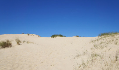Fototapeta na wymiar Sand dune against the blue sky for the background.
