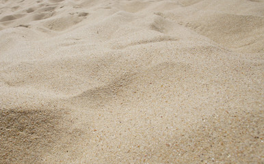 Fototapeta na wymiar Sand on a dune close up.