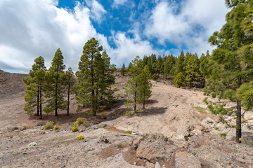 Wandern auf Gran Canaria