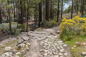 Wandern auf Gran Canaria