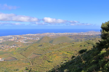 Obraz premium Caldera de Bandama - a place where used to be a volcanic crater in Gran Canaria