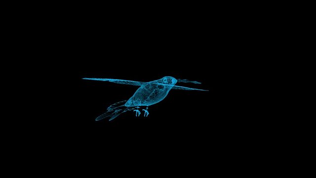 3d rendering hummingbird wireframe high poly mesh