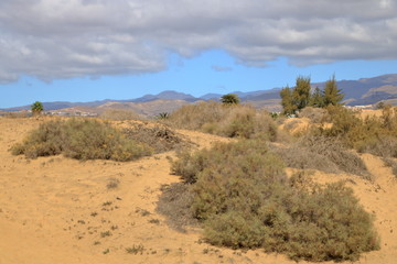 Aerial view of the Maspalomas dunes on Gran Canaria island.
