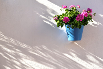 Flower pot decorating on white wall in the old town of Marbella