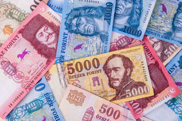 View of the Hungarian currency -Forint, close-up.