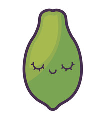 fresh papaya fruit kawaii character