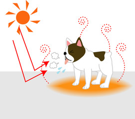 熱中症、夏バテの犬