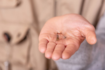 Fisherman showing fishing fly hook in hand palm .