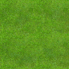 Seamless Green Lush Grass Texture - 261514937
