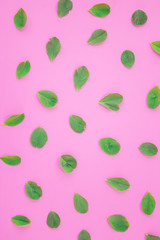 Pattern of petals clover leaves on a pink background. Natural wallpaper. Flat lay, top view