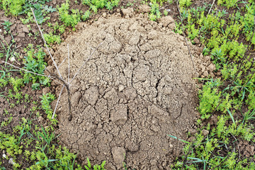 Wormholes in the fields