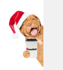 happy puppy in red christmas hat with a donation can, asking money behind white banner. isolated on...