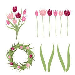 Pink spring tulips, bouquet and wreath