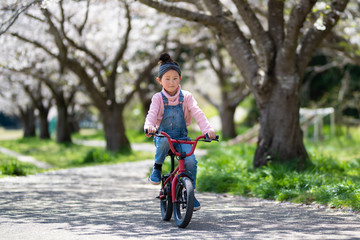 桜の木の下で自転車に乗る女の子