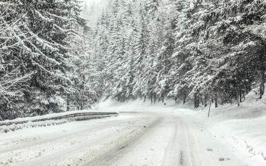 Obraz premium Forest road covered with snow during blizzard snowstorm, trees on both sides. Dangerous driving conditions in winter