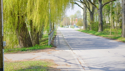 Landschaft Blumen Feld 