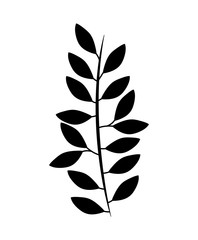 branch with leafs natural