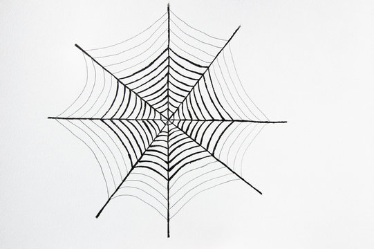 Black spider's web on white background