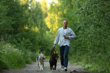 Obraz premium A man with two dogs walking on a sunny meadow
