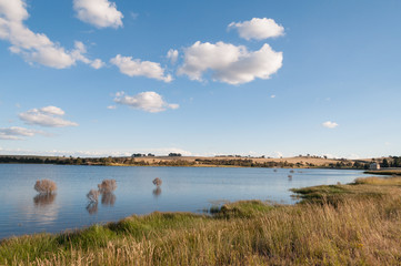 Nature landscape of water flooding the pasture