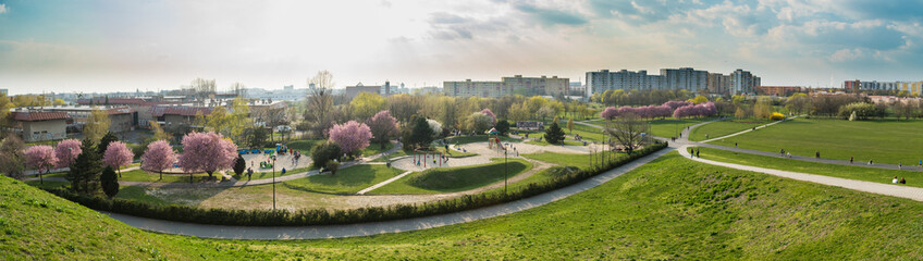 Wiosna w mieście Opole wiosna w parku