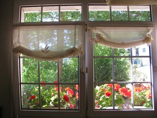 Vista desde una ventana los tiestos con flores del exterior