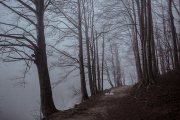 Santa Fe del Montseny