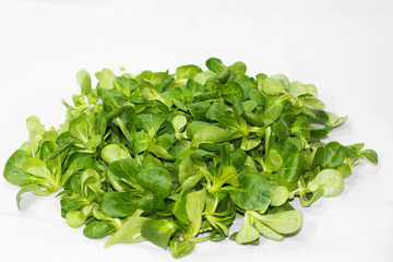 lechuga verde y fresca en un fondo blanco