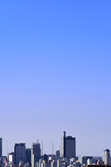 Fototapeta premium 仙台市遠望 仙台市瞑想の松より南方を望む