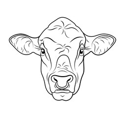 Cow calf bull’s head isolated on white background. Vector