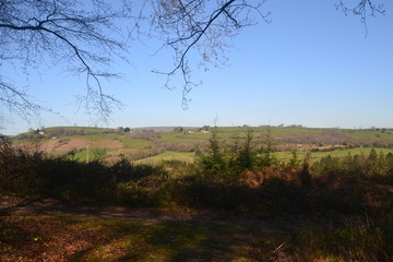 Obraz premium Llantrisant Fforest view