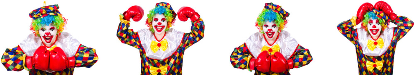 Funny male clown with boxing gloves 