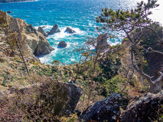 【伊豆半島ジオパーク】春の西伊豆黄金崎【遊歩道】