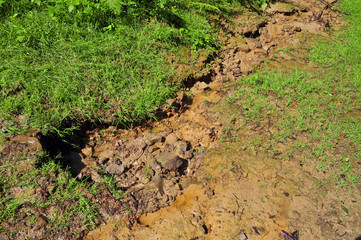 Land destruction by soil erosion after rain
